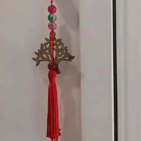 Joana's 2 招待所 *
